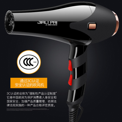 JL 8839 Household Hair Dryer Constant Temperature High Power Hair Dryer Heating and Cooling Air Gift Custom Logo Hair Dryer