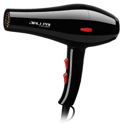 JL 8600 Brand Hair Saloon Dedicated Hair Dryer High Power Anion Professional Pet Electric Hair Dryer