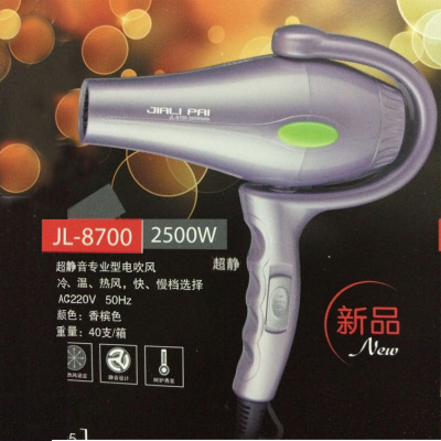 JL 8700 For Hair Salon Hair Dryer New Home Barber Shop Professional High-Power Hair Dryer