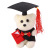 New Creative Teacher's Day Student Graduation Season Doctor Bear Doll Foam Plush Toy Cute Teddy Bear Doll