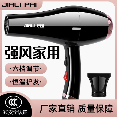 JL 8913 High-Power Hair Dryer Jieyang Small Appliances Heating and Cooling Air Hotel Wholesale Hair Dryer