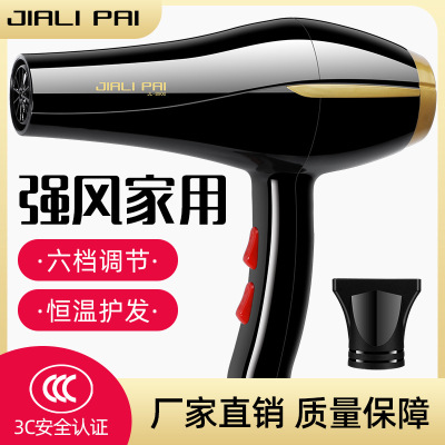 JL 8900 Size Power Household Electric Blower Heating and Cooling Air Hair Dryer Hair Salon Hair Dryer One Piece Dropshipping