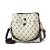 2020 New Shoulder Messenger Bag Fashion All-Match Fashion Printed Korean Style Small Square Bag Texture Chain Chanel's Style Women's Bag