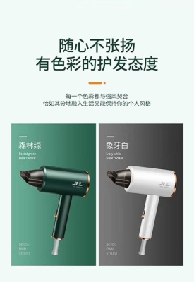 Factory Direct Sales Internet Celebrity Cross-Border Foreign Trade High-End Anion Hair Care Hair Dryer Gift Hair Dryer One Product Dropshipping