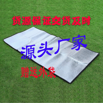 Factory Direct Supply 100-3 Pearl Cotton Aluminum Film Mat Outdoor Mat Picnic Mat Camping Tent Sleeping Mat Aluminum Foil