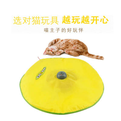 Amazon Pet Supplies Electric Cat Toy Pai Li Mouse Cat Pole Toy Fun Puzzle Funny Cat Stick Amusement Plate