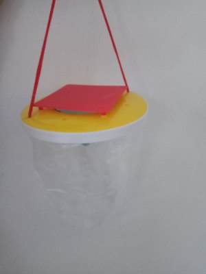 Currently Available Sale Hanging Detachable Fly Trap Bag Fly Trap Cage Water-Added Fly Trap