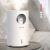 Home Polar Bear Humidifier USB Large Capacity Nordic Design Cute Pet Air Purification Cartoon Humidifier