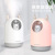 Internet Hot Cute Pet Humidifier Cartoon Gift Polar Bear Domestic Humidifier Creative Night Light Mute Humidifier