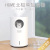 Home Polar Bear Humidifier USB Large Capacity Nordic Design Cute Pet Air Purification Cartoon Humidifier