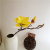 3D Magnolia Handle Flower Emulational Flower Living Room TV Cabinet Dining Table Floral Ornaments Wedding Flower