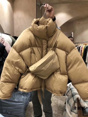 South Korea Dongdaemun 2020 Winter New Women's Clothing Loose Thick Short down Coat Thin down Jacket nv wai tao