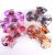 2 Yuan Store Clip Plastic Bowknot Grip Grip Fashion Boutique Hair Clip Color Hairpin 2 Yuan Supply