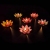 River Lanterns Wishing Lamp Creative Candles Water Lamp Blessing Lotus Lamp DIY Festival Lotus Lamp Romantic Birthday Kongming Lantern