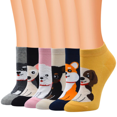 New Cartoon Trendy Socks Wholesale Creative Cotton Socks Cute Cartoon Dog Pattern Women's Low-Cut Liners Socks