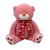 New Fashion Creative Bear Pillow Toy Cartoon Love Love Heart Bow Tie Sitting Bear Plush Doll