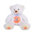 Hot Sale PV Foot Bear Plush Doll Fashion Flower Leaf Bear Plush Toy Soft Pp Cotton Sitting Board Bear