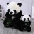 Holding Bamboo Cute Plush Panda Toy Cute Cartoon Baby Loves Little Doll Sleeping Doll Wholesale at Night