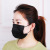 Disposable Mask Three-Layer Adult Protection Dustproof Filter Meltblown Black 50 Currently Available
