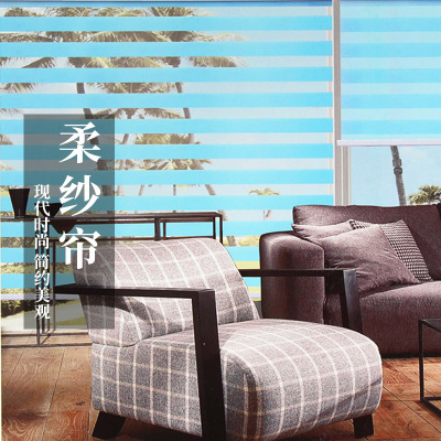 Factory Customized Curtain Tea Room Balcony Office Living Room Double-Layer Light-Blocking Adjustable Korean Soft Gauze Curtain