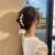 Korean Style Elegant Graceful Hair Clip Headdress Bath Hair Claw Spring Hair Claws Hair Pins French Style Retro Back Head