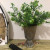 Factory Direct Sales New Iron Trophy Vase Artificial Flower Dried Flower Bridal Bouquet Flower Arrangement Flower Shop S