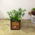 Factory Direct Sales New Multi-Color Pastoral Style Square Iron Bucket Flower Pot Succulent Flower Photography Prop Decoration Decoration