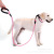 Pet Supplies Reflective Multi-Color round Rope Dog Leash Dog Leash Dog Leash Comfortable Handle Medium and Large Dogs Supplies