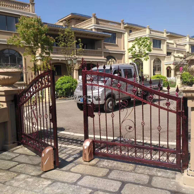 Iron Gate Courtyard Door Entrance Door