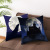 Gm052 Digital Printing Car and Sofa Pillow and Cushion Cover One Piece Dropshipping Amazon AliExpress Home Soft Decoration