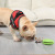 Dog Toothbrush Pet Dog Toothbrush Dog Molar Tooth Cleaning Stick Leakage Food Feeder Ball Bite-Resistant Toys Supplies
