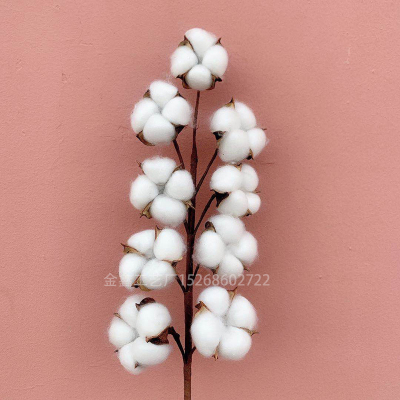 Naturally Dried Cotton Stems Farmhouse Artificial Flower Filler Floral Decor Fake  Flower Cotton DIY Garland Home Weddin