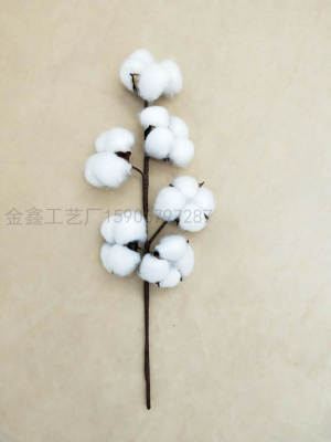 6-Head Cotton Single Stem Permanent Flowers Dried Flowers Natural Cotton Simulation Cotton Christmas Bouquet Wedding dec