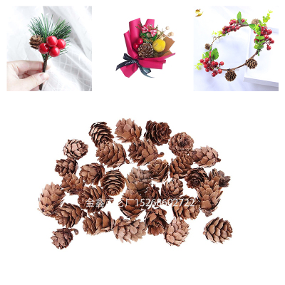 Mini Decorative Pinecone Pine Cones Pinecone For Christmas Tree Toppers Vase Bowl Filler Displays Crafts Home Decor