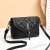 Same Type as TikTok Simple Black Women's Bag New Fashion Trendy Hand-Carrying Bag Shoulder Crossbody Shoulder Bag Factory Wholesale