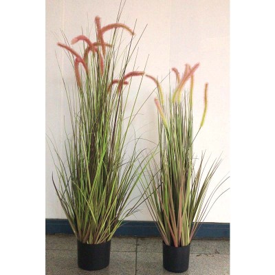 Garden simulation aquatic plant onion grass dog tail potted flower flower