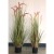 Garden simulation aquatic plant onion grass dog tail potted flower flower