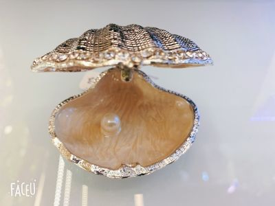 Metal Shell Jewelry Box