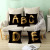 Gm046 Simple Style Black Spark English Letters Peach Skin Fabric Pillow Cover Sofa Cushion Amazon Hot