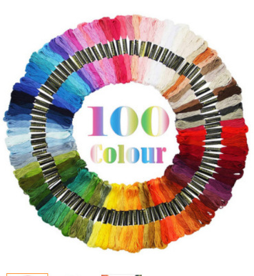 50 Colors 100 Color Cross Stitch Thread Polyester-Cotton Embroidery Thread Rainbow-Colored Hand Embroidery Braided Wire