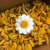 Yellow Flocking Flower Core Sunflower Bud Plastic Artificial Flower Cloth Chrysanthemum Daisy Artificial Flower Core