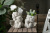 Pot Vase Sculptured Ornaments Creative Statue Special Offer Art Poet Balcony Cement Flower Pot Vase Angel