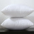 Yl208 Brushed Cloth Throw Pillow Filler Pp Cotton Cushion Core Wholesale 40 45 50 55 60 Seat Cushion Core