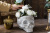 Concrete Face Flower Pot Sculptured Ornaments Creative Statue Special Offer Art Poet Balcony Cement Flower Pot Skull