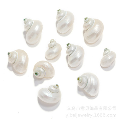 Electroplating Conch Pendant Semi-Finished Ornament Accessories DIY Conch Handmade Pendant Material Wholesale Small White Conch