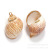 Yibei Electroplating Covered Mud Conch Gold-Plated Conch DIY Ornament Accessories Necklace Pendant Parts
