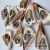 Conch Shell Slice Triangle Conch Fish Tank Decoration DIY Micro Landscape Landscaping Accessories Wholesale by Jin