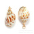 [Yibei] Spot Leopard Print Full of Dongfeng Snail Edge Conch Electroplating Golden Edge Conch Ornament Accessories Foreign Trade Fashion