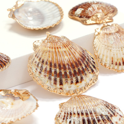 Yibei Electroplating Edge Golden Cow Shit Shell Gold-Plated Edge Conch Shell Pendant Ornaments Pendant Accessories