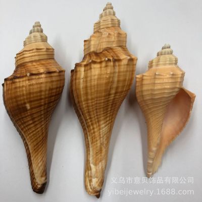 Marine Life Decoration Red Conch Outdoor Park Seaside Beach Conch Shell Decoration